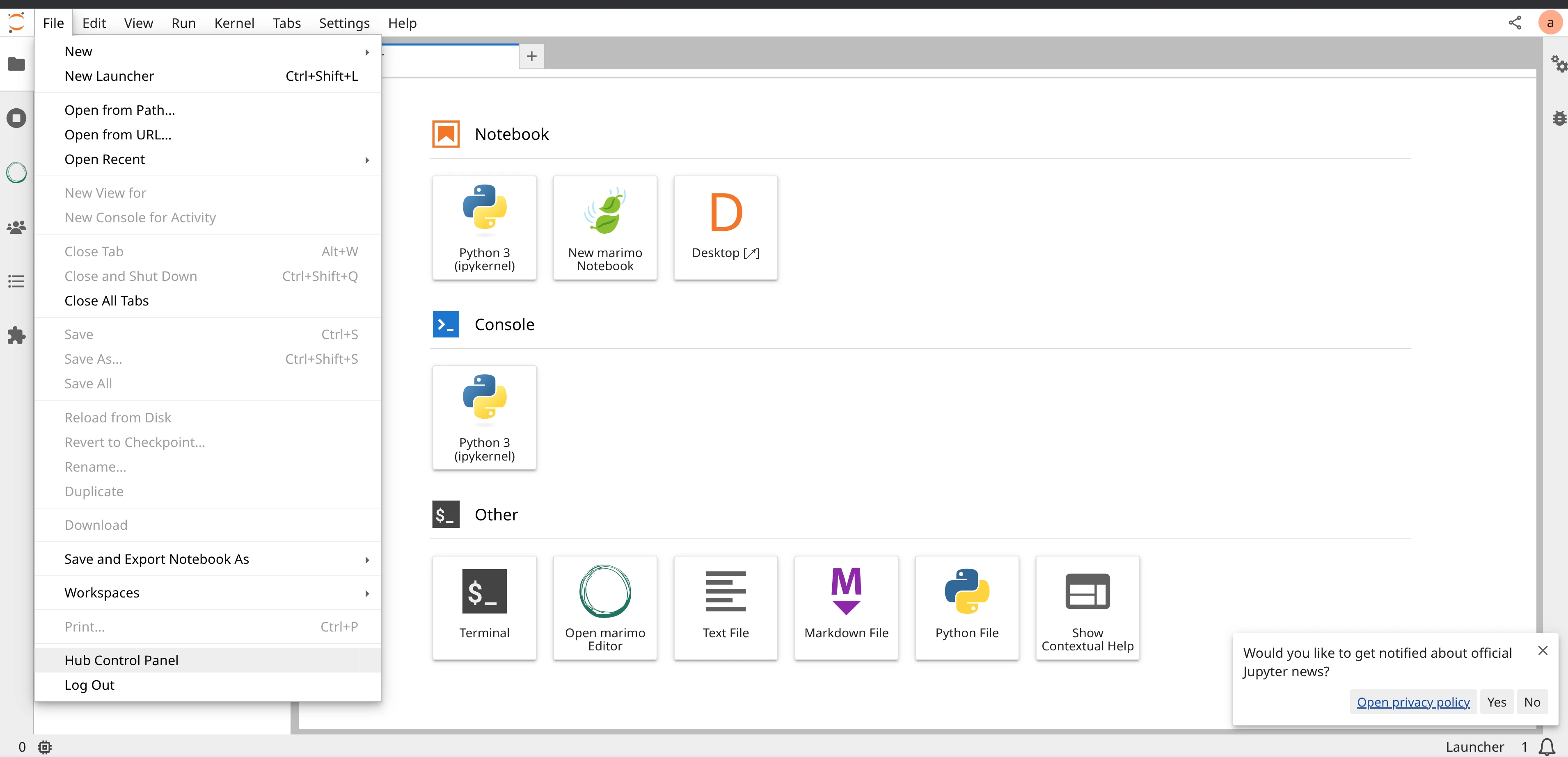 landing page
